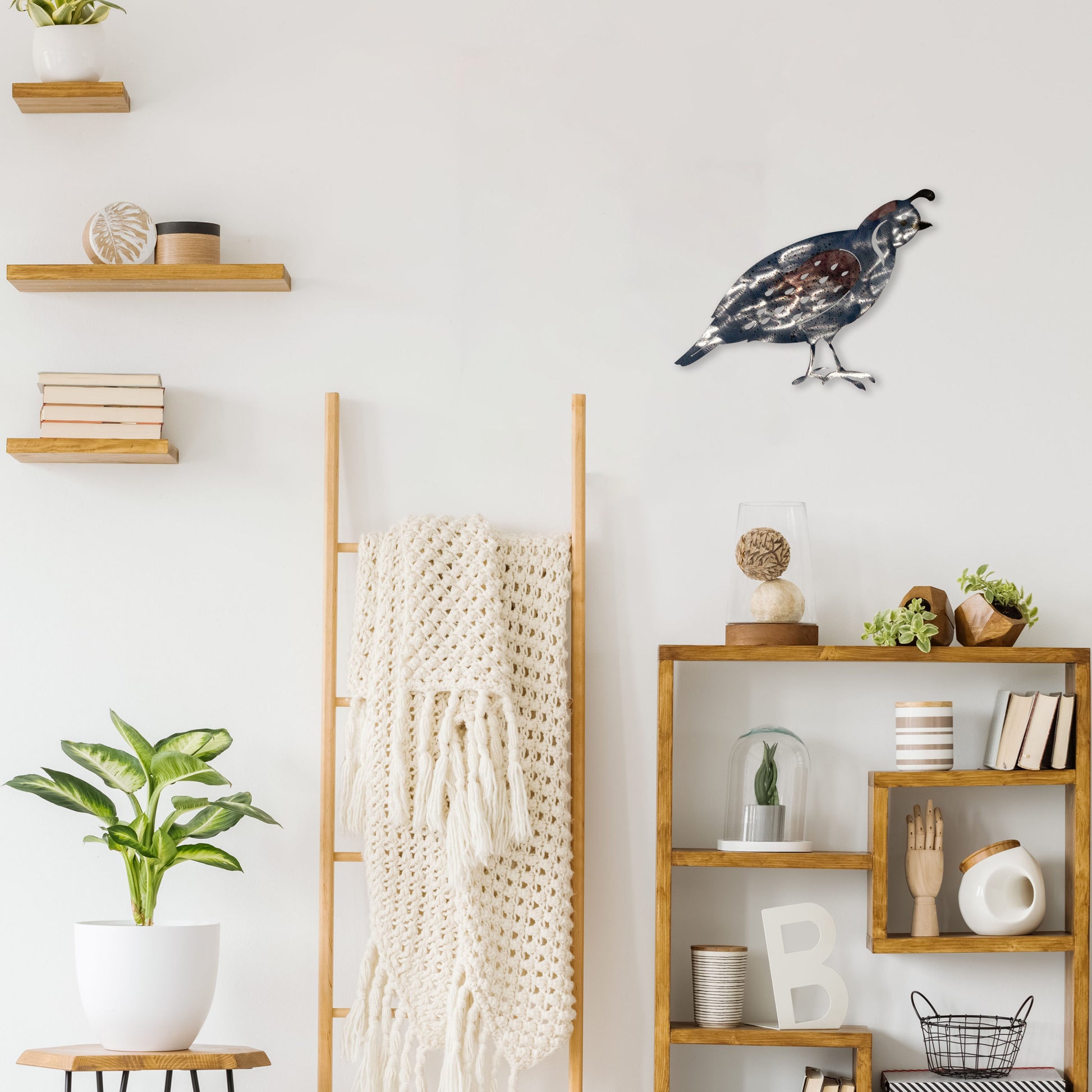 1595266603_Quailoverbookshelf